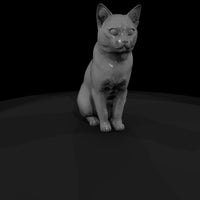 sitting_heterochromatic_white_cat_3d_model_xmjcc4u4 — thumbnail 3
