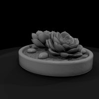 minimalist-monochrome-succulent-zen-garden-3d-printable-miniature-265295 — thumbnail 4