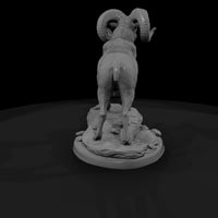 ww-0317-animal-desert-bighorn-ram — thumbnail 3