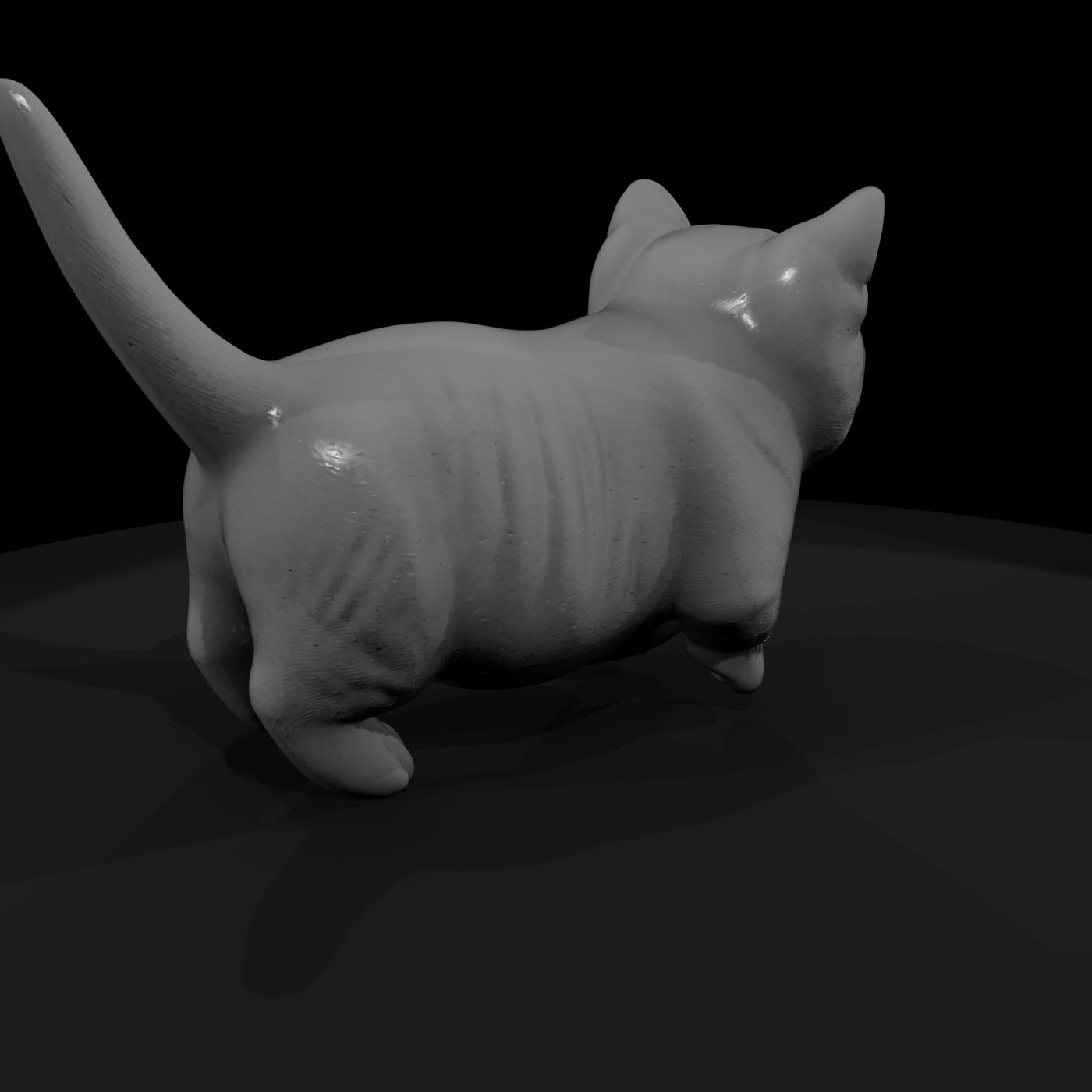 a-collection-of-housecats-munchkin-e876df2e-meshre