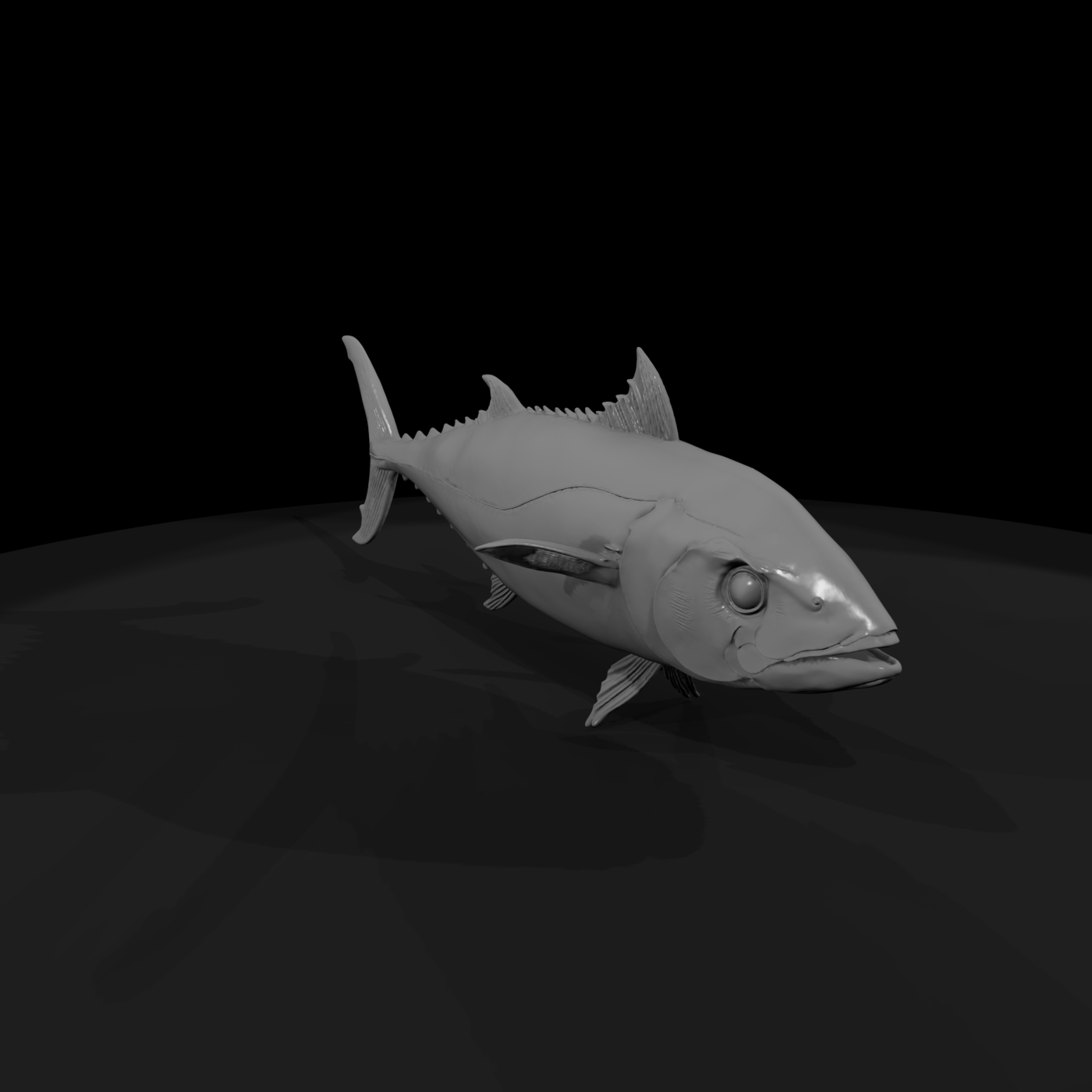 Realistic Tuna Fish & Display