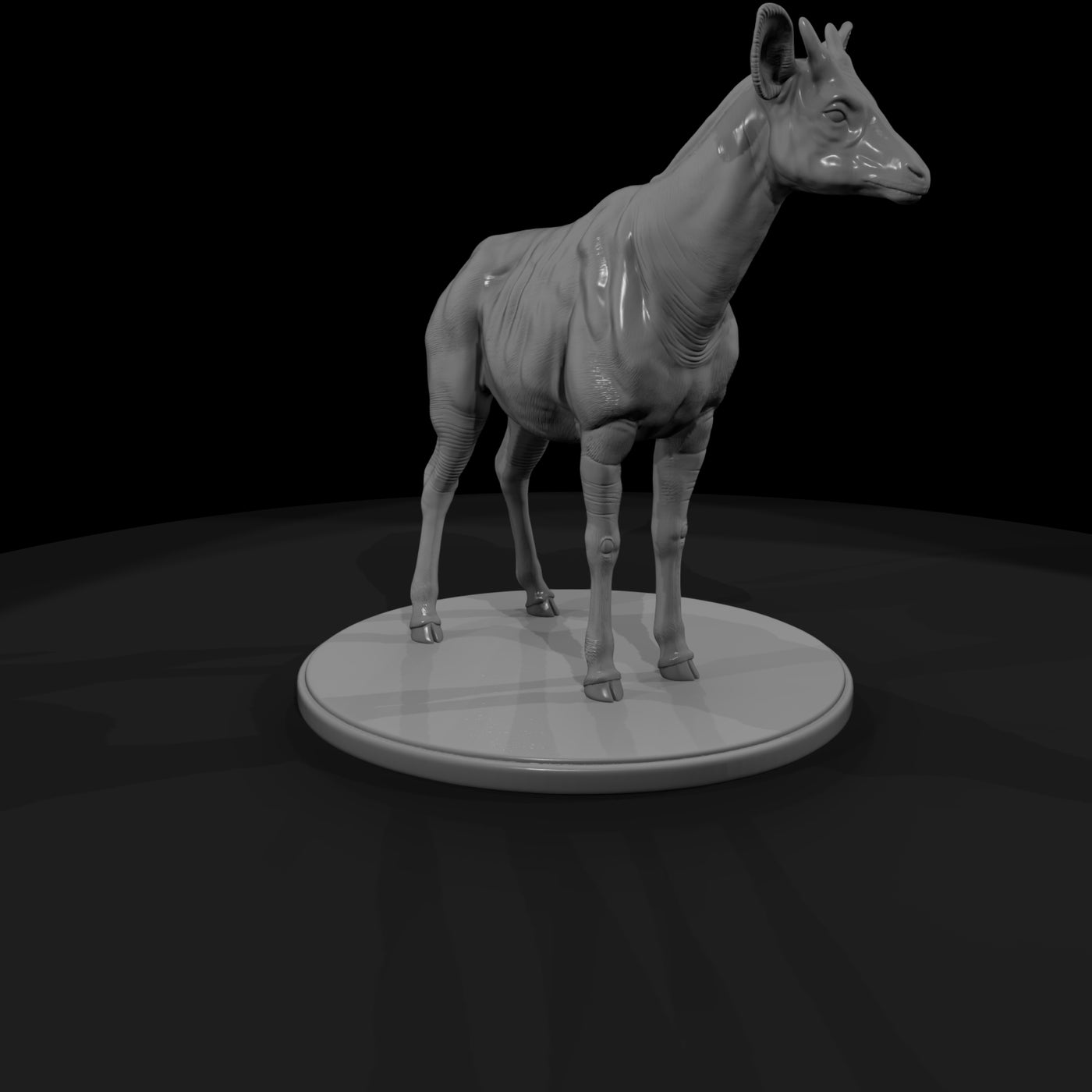 ant-250-okapi-male
