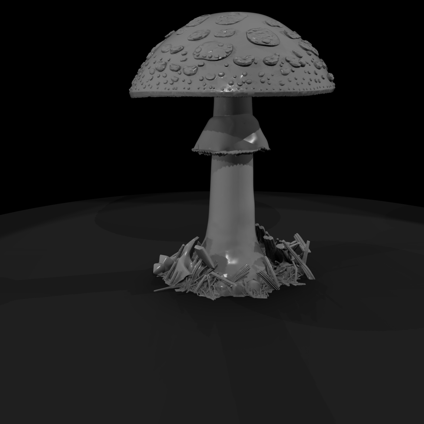 Fly Agaric Mushroom