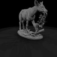 ant-251-okapi-female — thumbnail 3