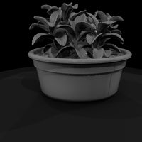 low-poly-potted-houseplant-miniature-070872 — thumbnail 4