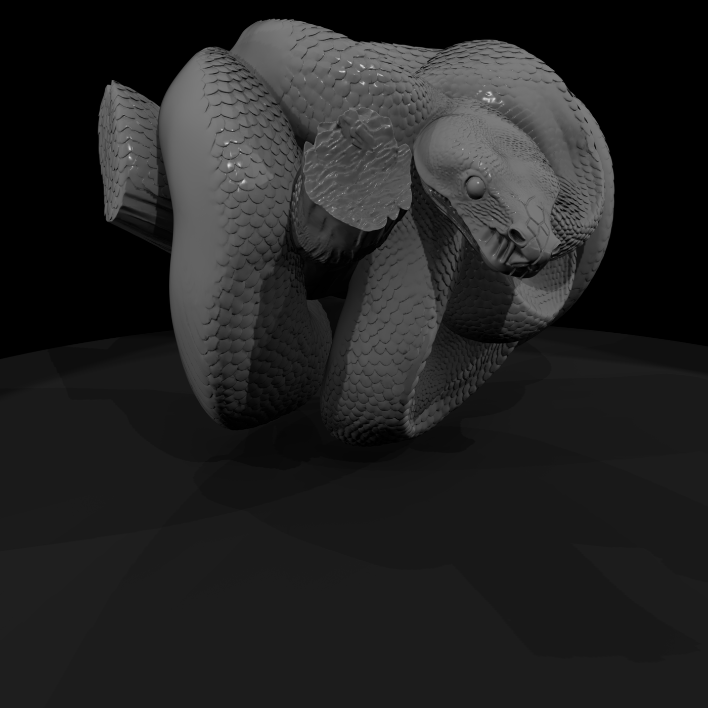 Coiled Snake on Log