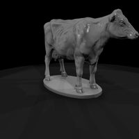 ww-0298-animal-dairy-cow — thumbnail 3