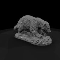 ww-0326-animal-badger — thumbnail 3