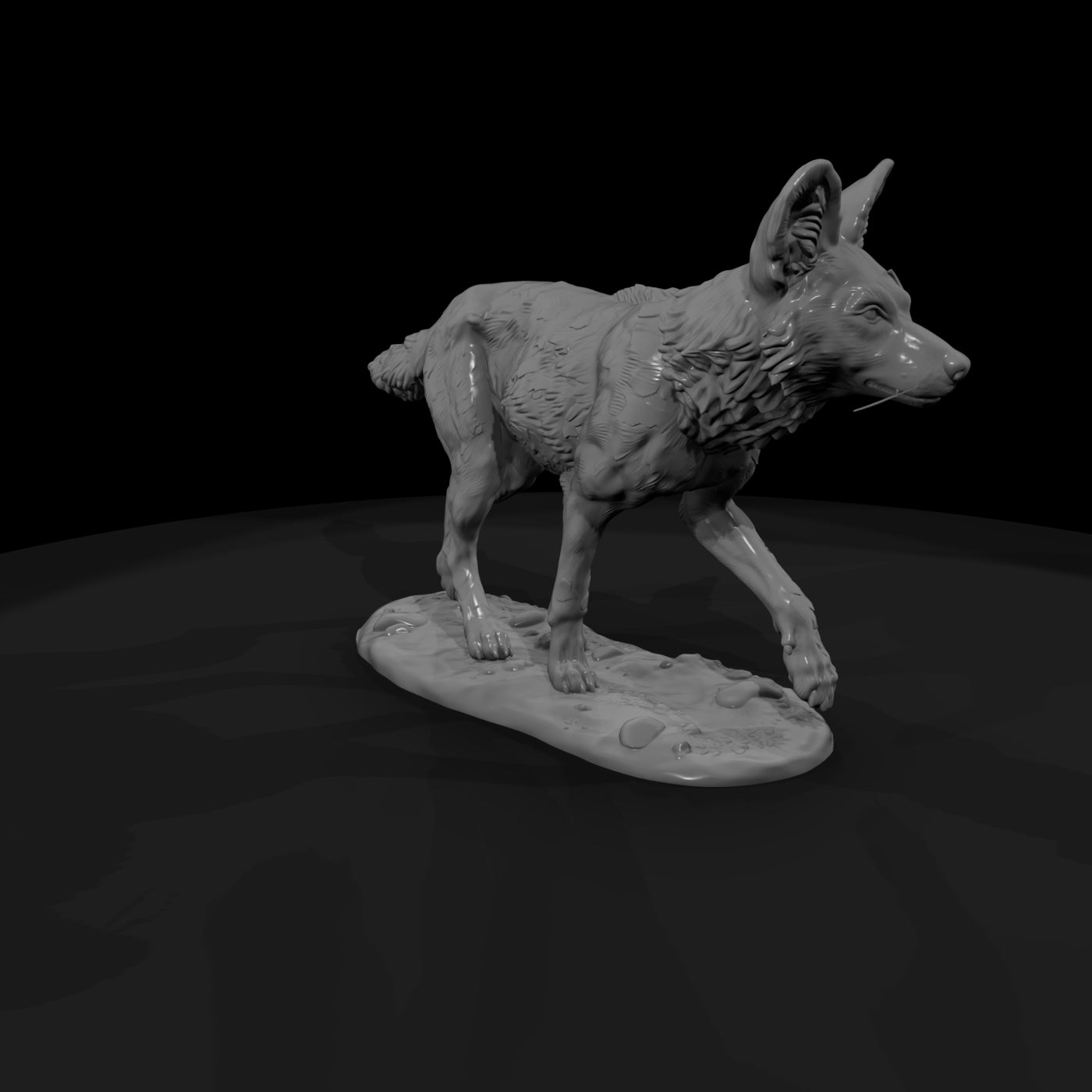 ant-167-african-wild-dog-female