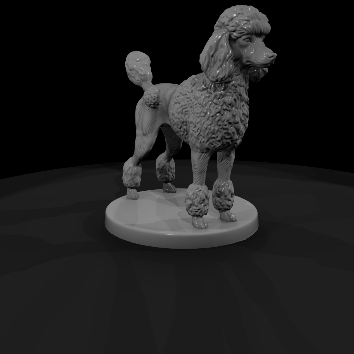 Standing Standard Poodle
