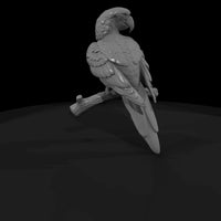 ant-284-scarlet-macaw-female — thumbnail 3