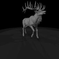 Male Elk — thumbnail 4