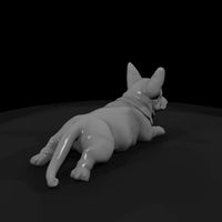 all-the-puppies-8a6f7309-meshref — thumbnail 3