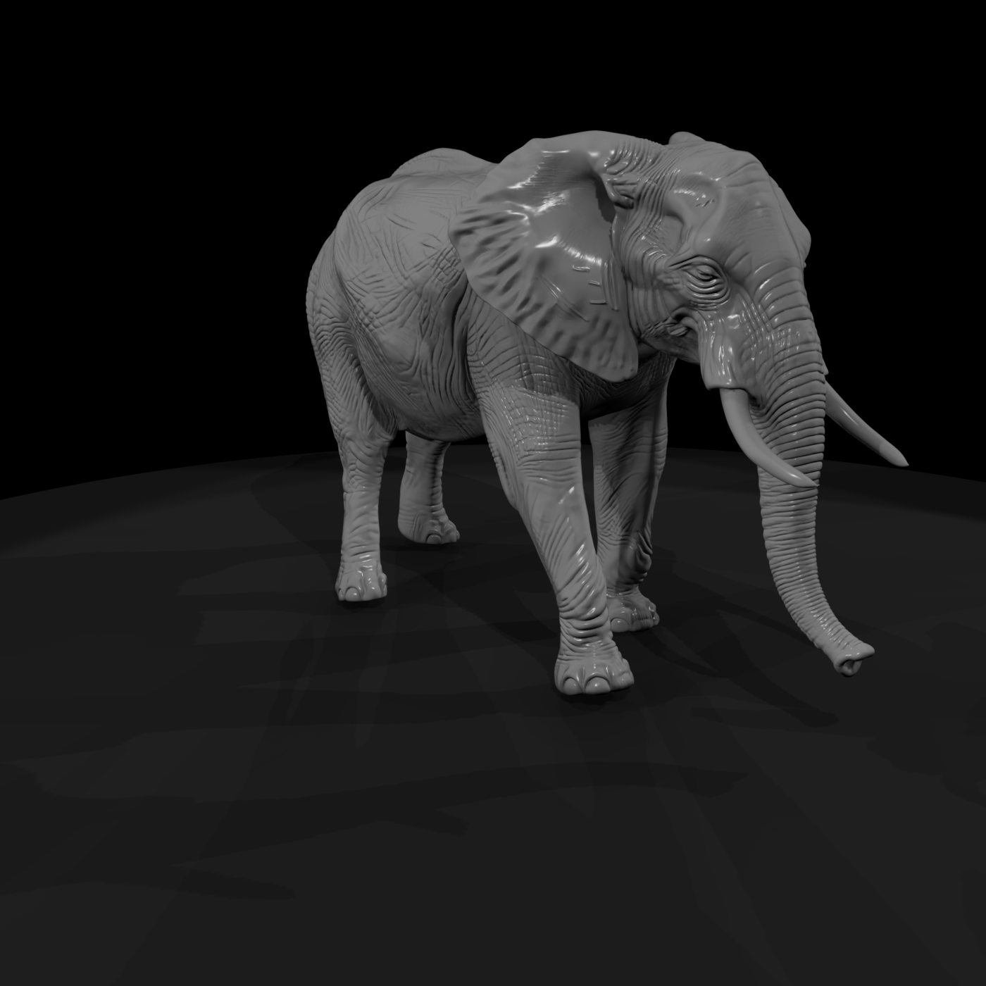 Ant 023 African Elephant Female