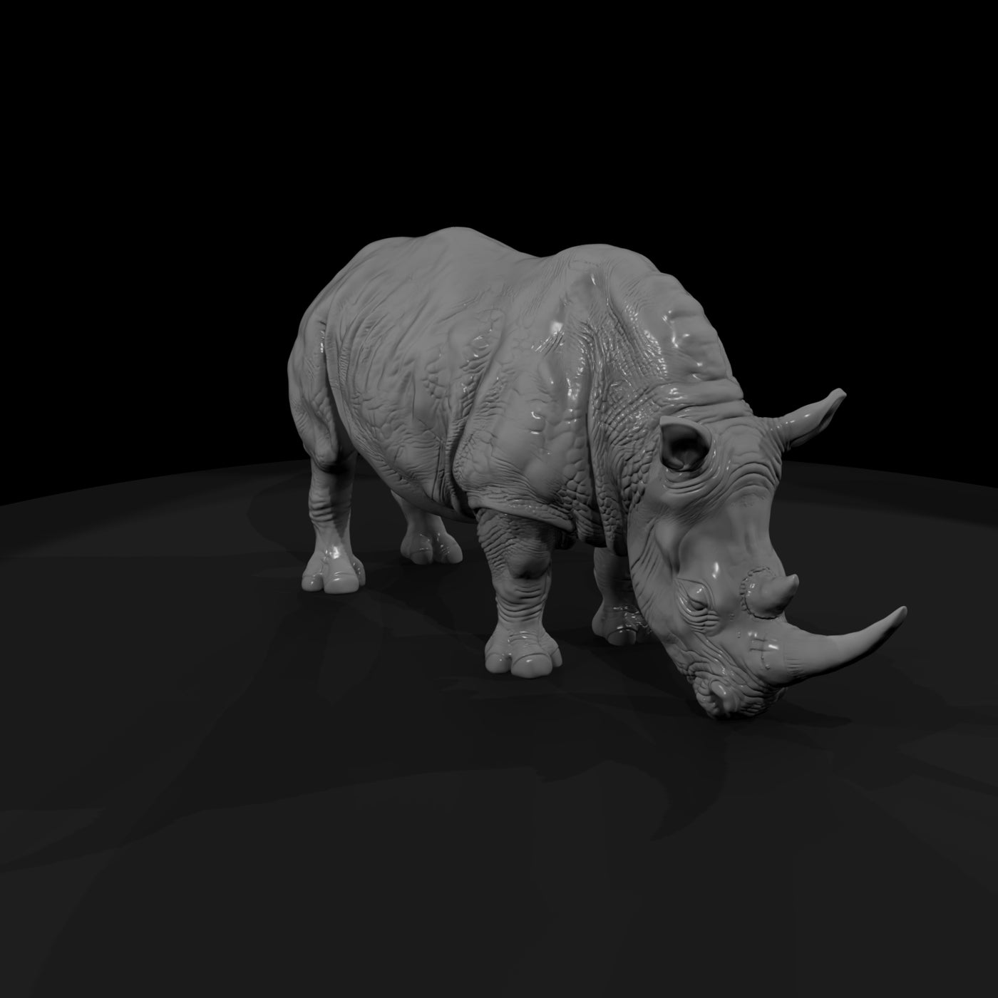 ant-031-white-rhinoceros-male