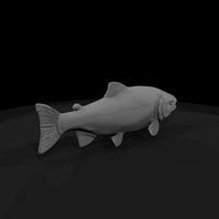 chinook-salmon-miniature-for-dioramas-display-016104 — thumbnail 4
