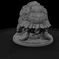 armored-rock-tortoise-043803 — thumbnail 4