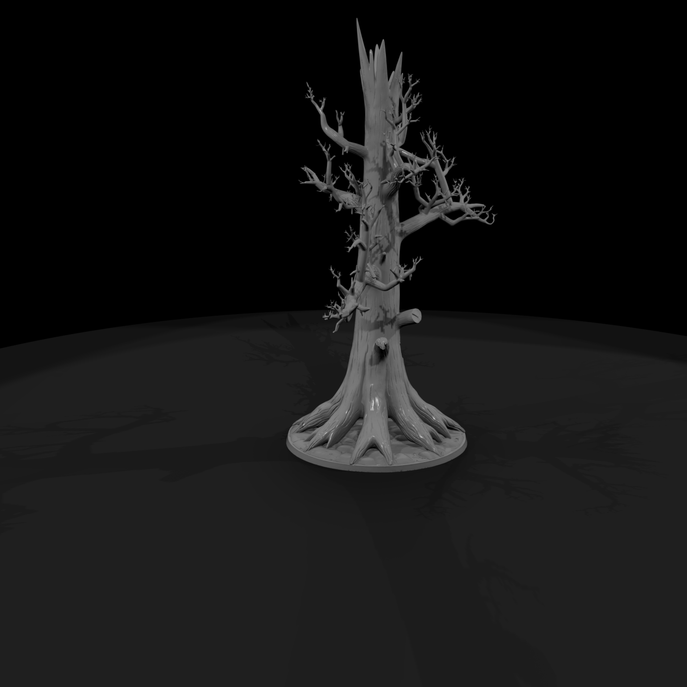 Bare dead snag tree with exposed roots