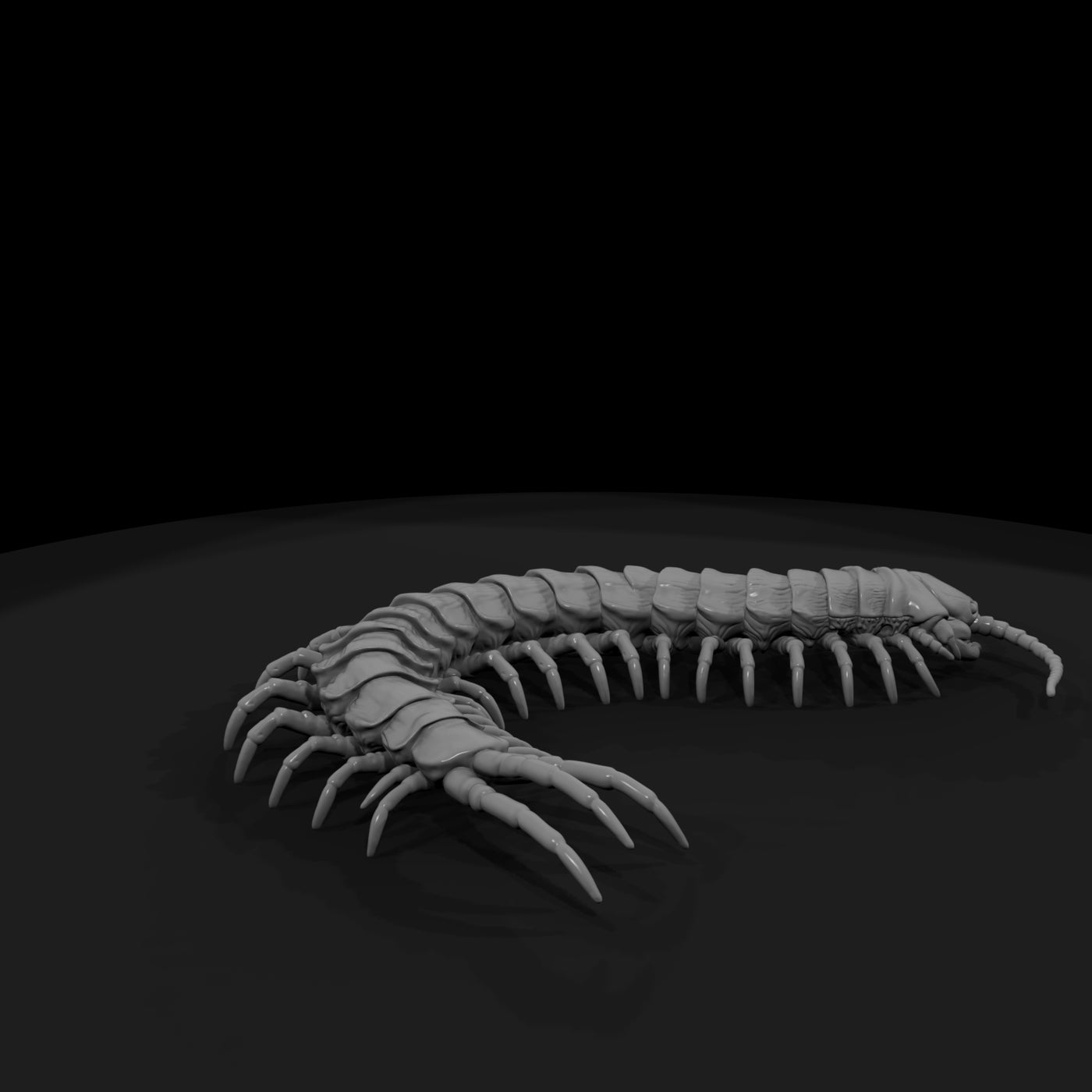 ww-0341-animal-giant-centipede