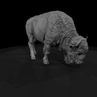 ant-050-american-bison-female — thumbnail 3