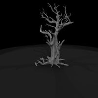 20260612-gnarled-dead-tree-0a1498bdad — thumbnail 3