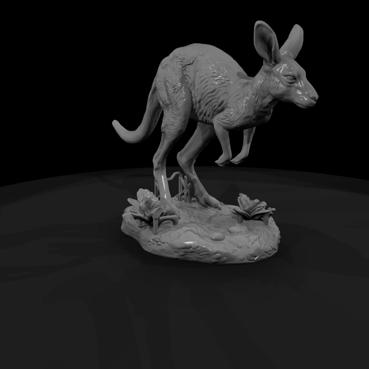 ant-081-red-kangaroo-adolescent