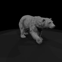 ant-209-polar-bear-female — thumbnail 3
