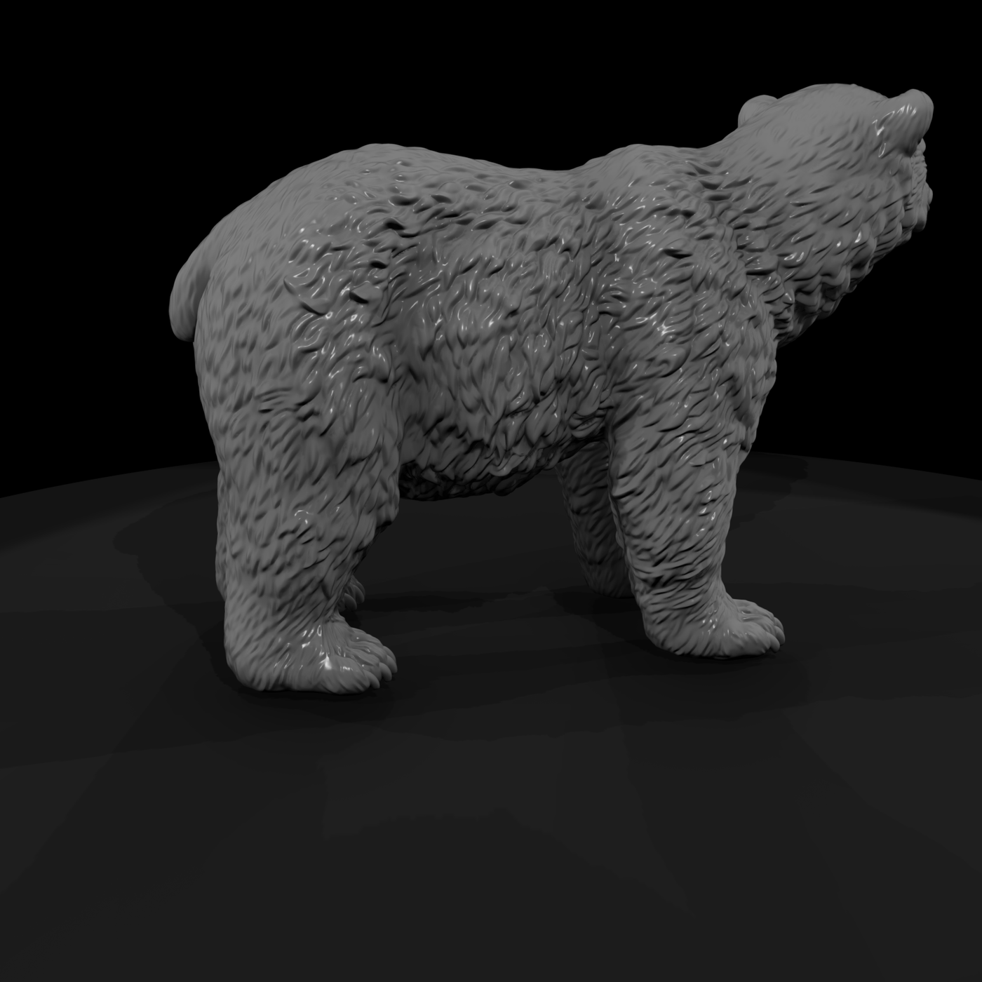 Young Polar Bear Standing