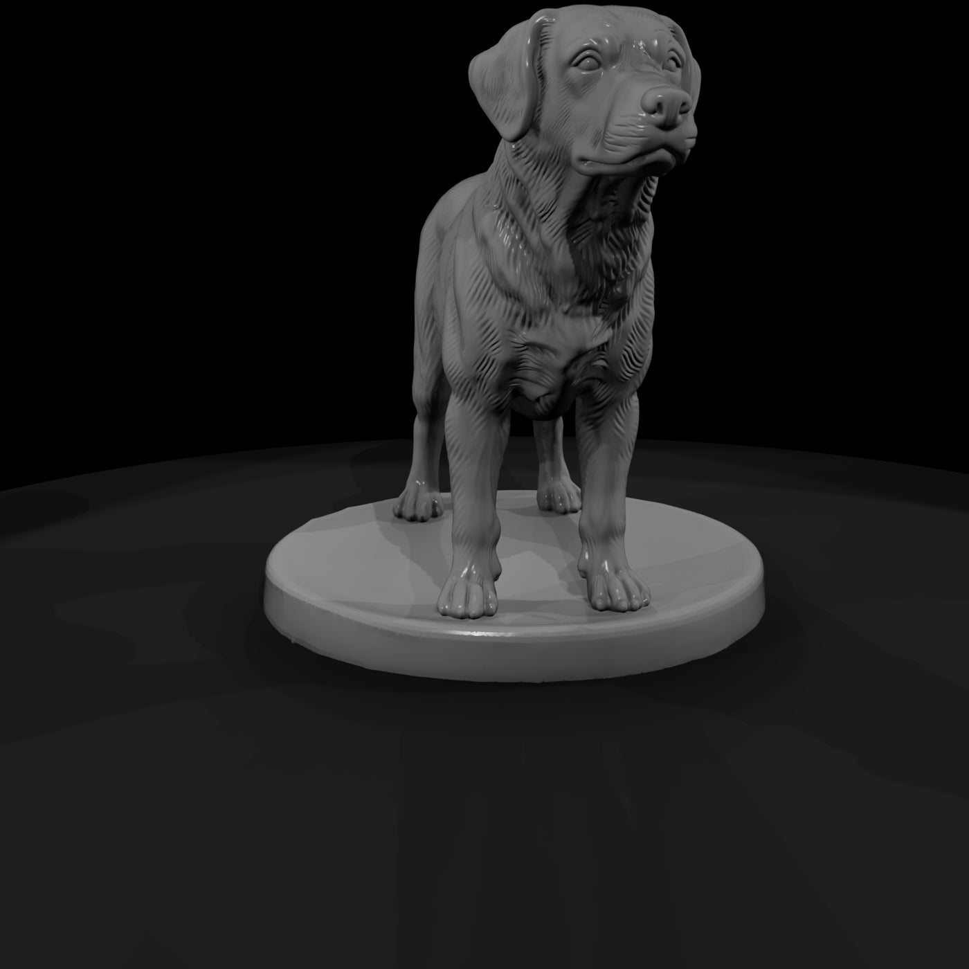 anim-01-labrador-retriever-15c005