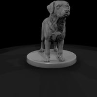 anim-01-labrador-retriever-15c005 — thumbnail 4