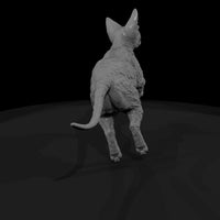 a-collection-of-housecats-cornish-1f45c53c-meshref — thumbnail 3