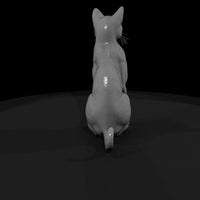 a-collection-of-housecats-siamese-a4268fe7-meshref — thumbnail 3