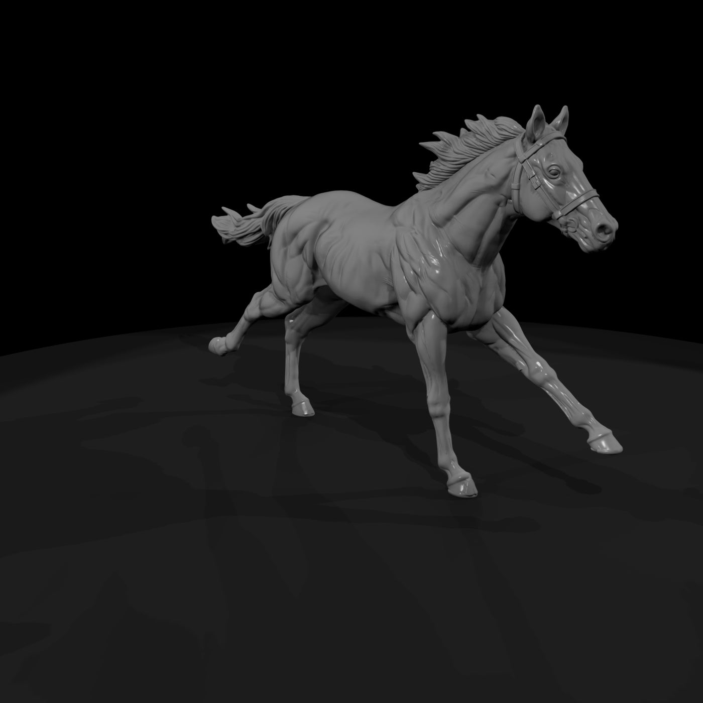 ww-0286-animal-galloping-horse
