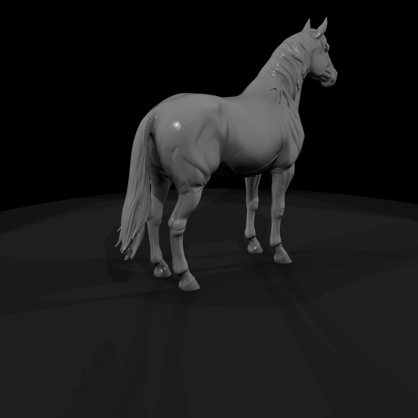 bay-horse