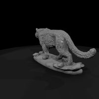 ant-155-snow-leopard-female — thumbnail 3