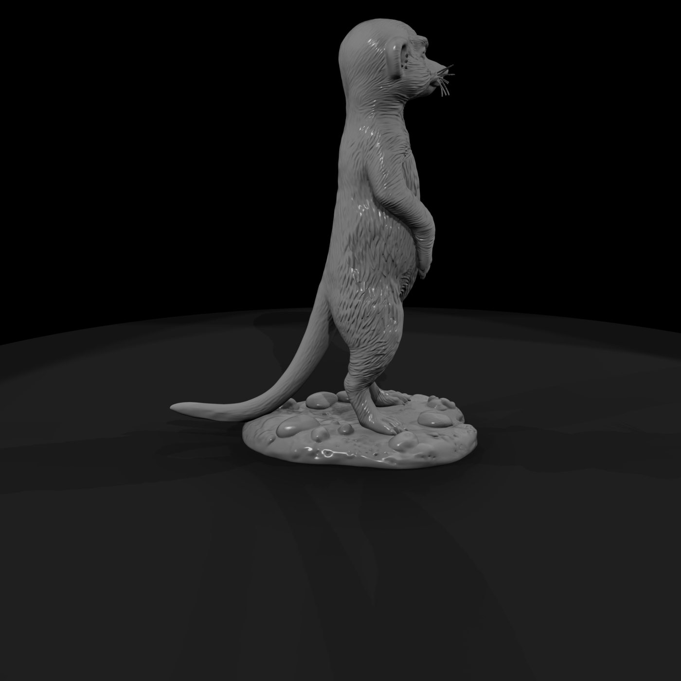 Meerkat Standing Sentry