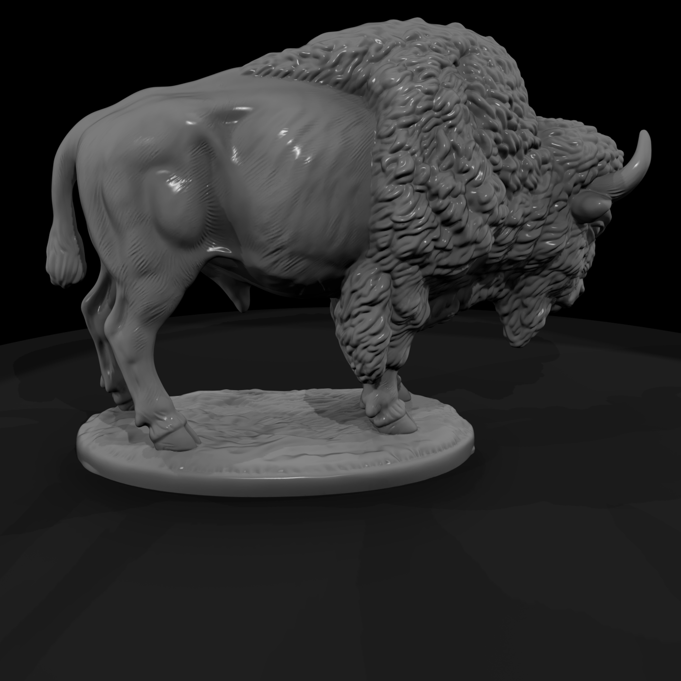 Ww 0314 Animal American Bison