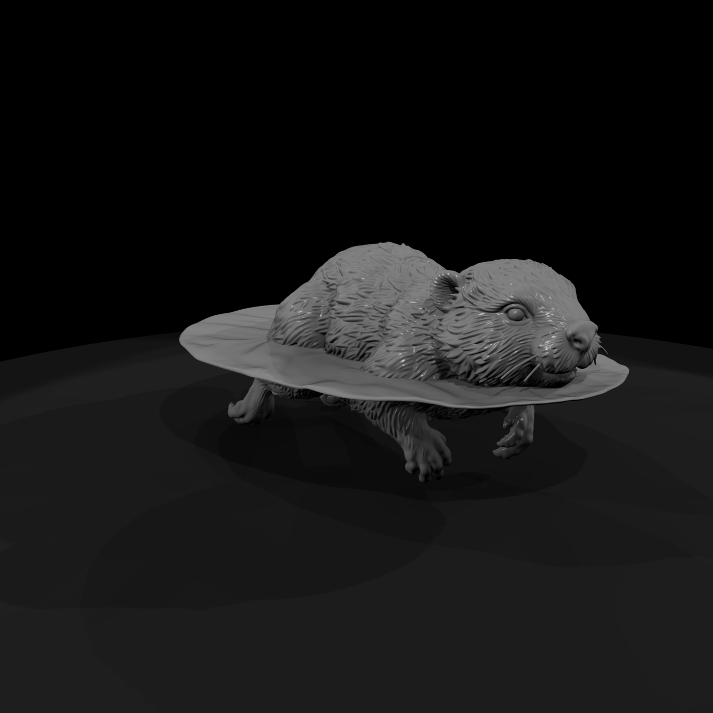 Adolescent Beaver