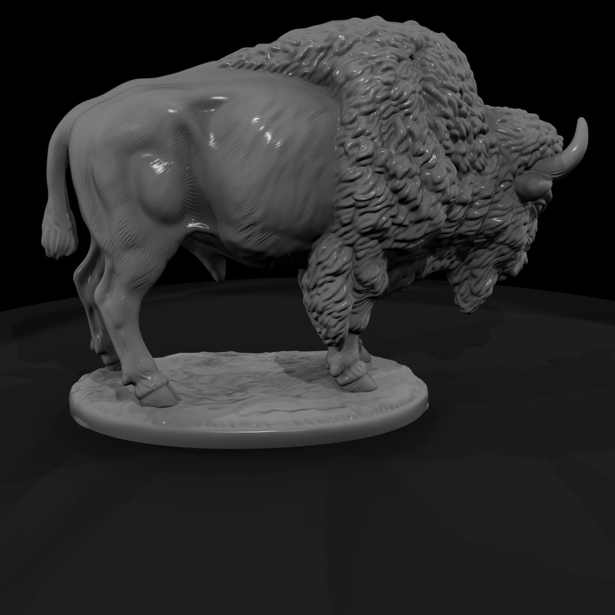 ww-0314-animal-american-bison