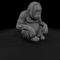 ant-111-orangutan-adolescent — thumbnail 3