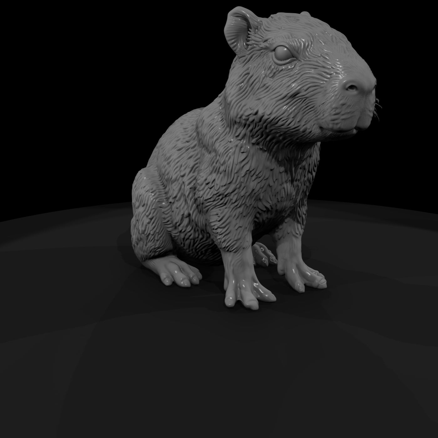 ant-258-capybara-adolescent