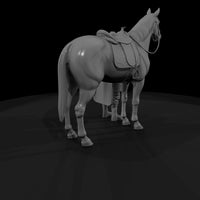 horse-with-saddle — thumbnail 5