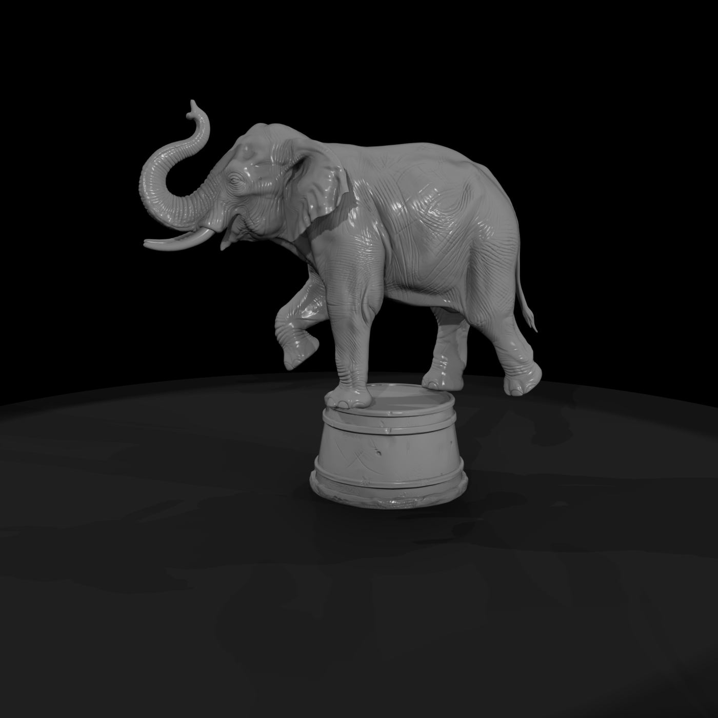 Cir 111 Animal Circus Elephant On Tub