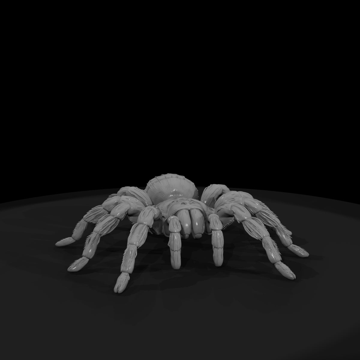 ww-0339-animal-tarantula