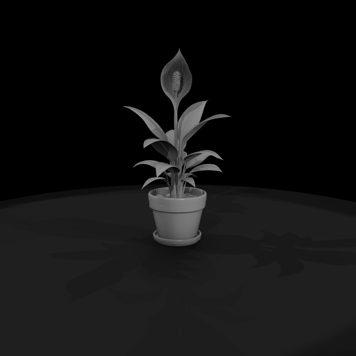 stylized-peace-lily-potted-plant-3d-printable-miniature-749768