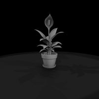 stylized-peace-lily-potted-plant-3d-printable-miniature-749768 — thumbnail 5