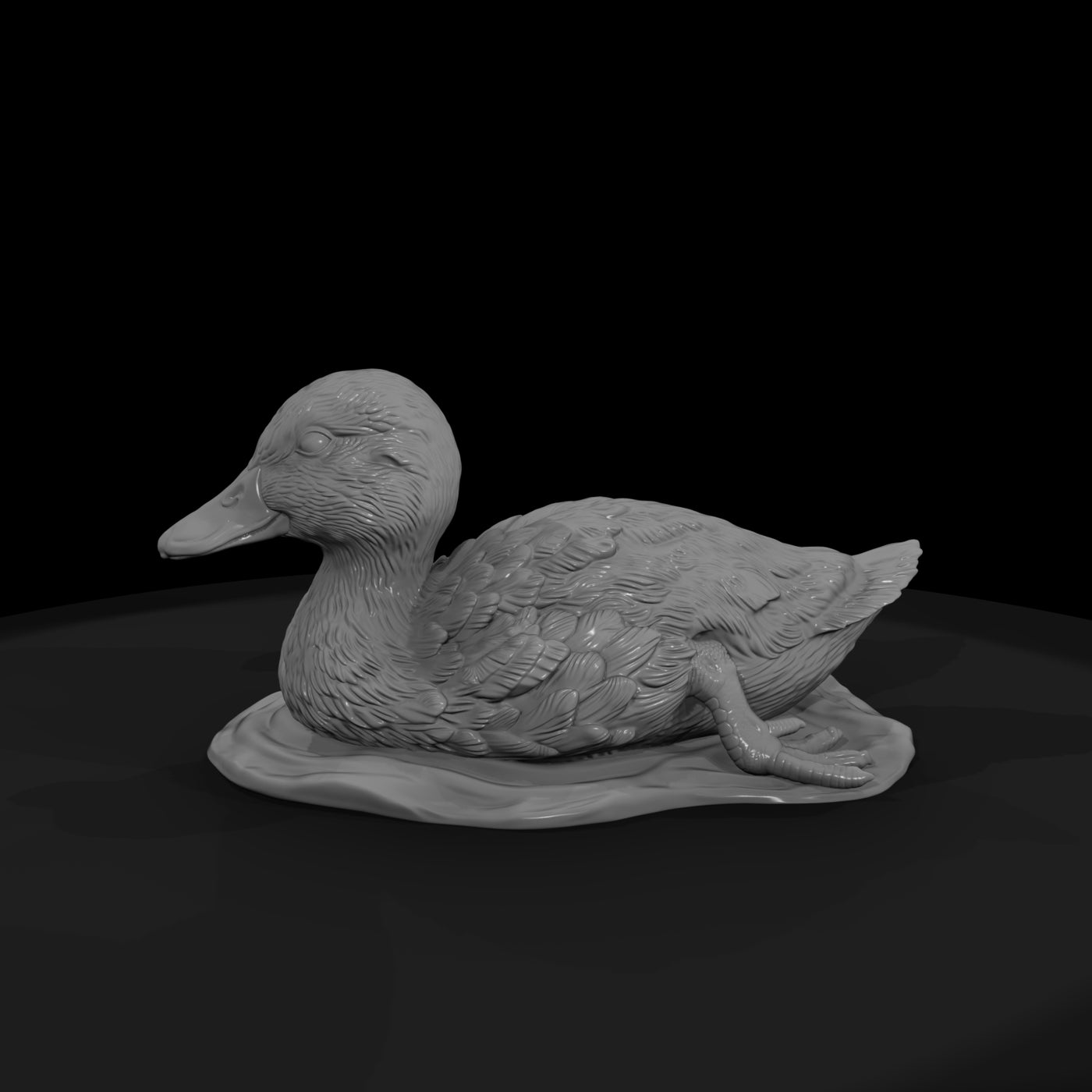 ant-090-mallard-adolescent