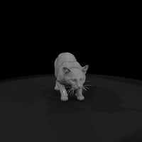 a-collection-of-housecats-toyger-26f16d31-meshref — thumbnail 4