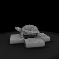 stylized-box-tortoise-3d-model-c5aktigk-67a07e — thumbnail 4