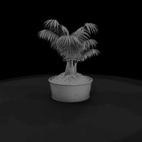 potted-palm-plant-miniature-643506 — thumbnail 5